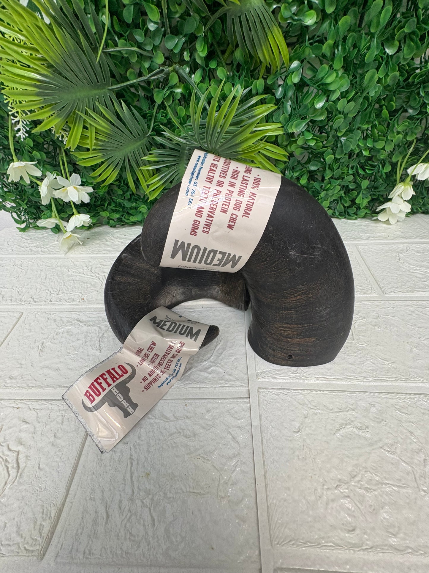 Medium buffalo horn
