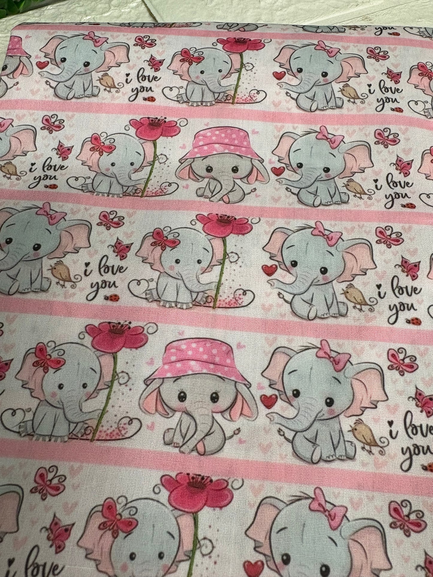 Cute elephants