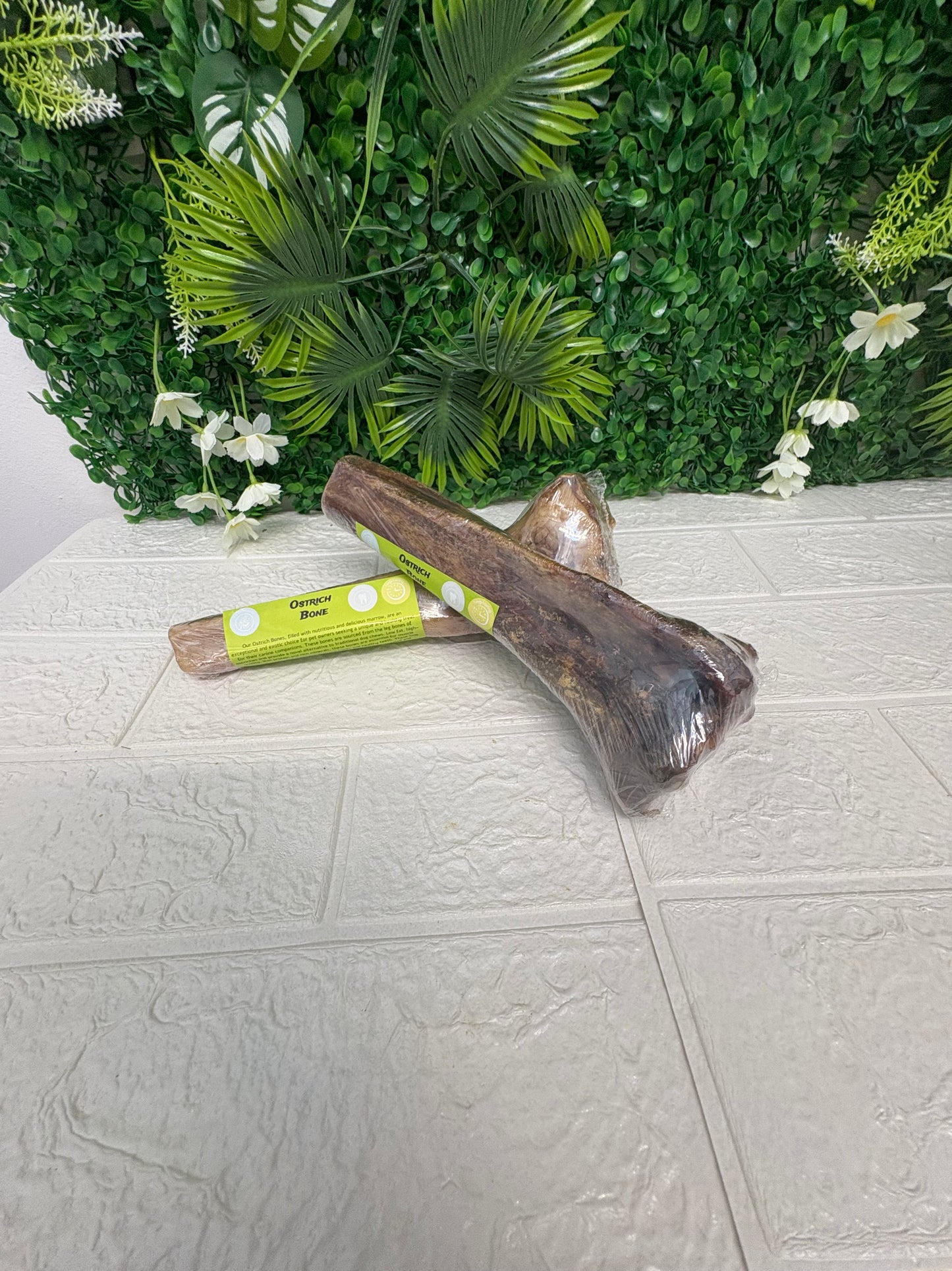 Ostrich bone