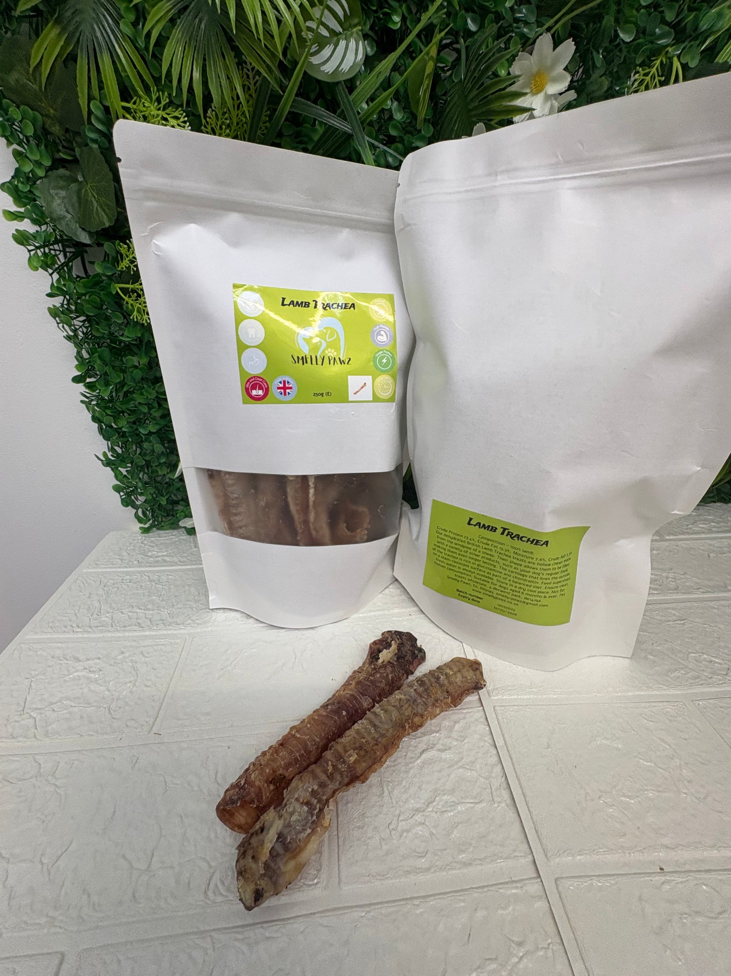Lamb trachea