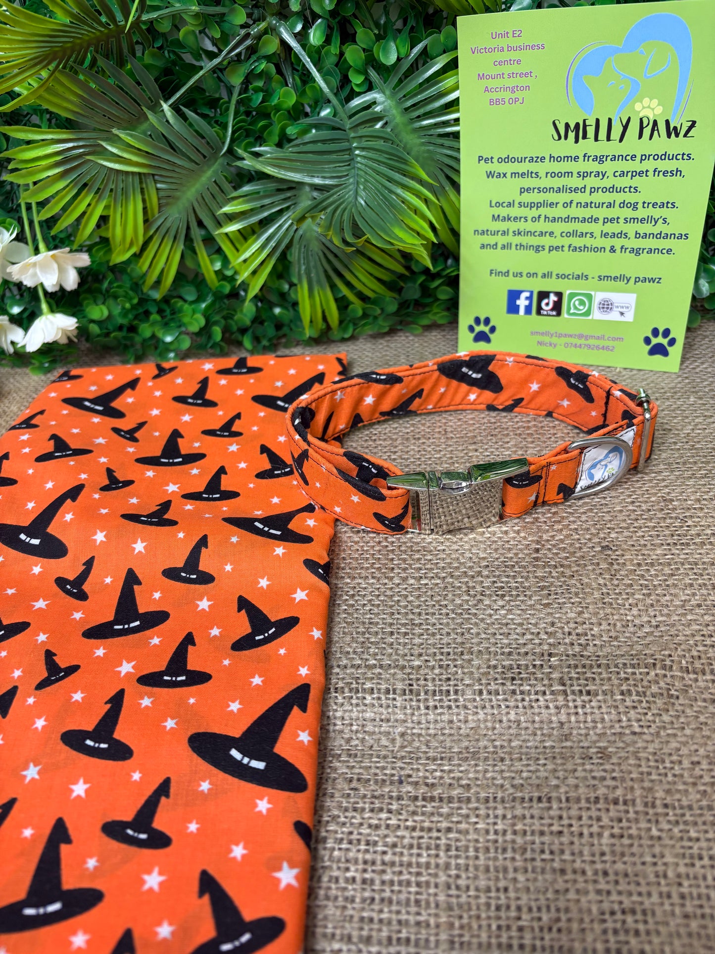 Halloween orange witches hat