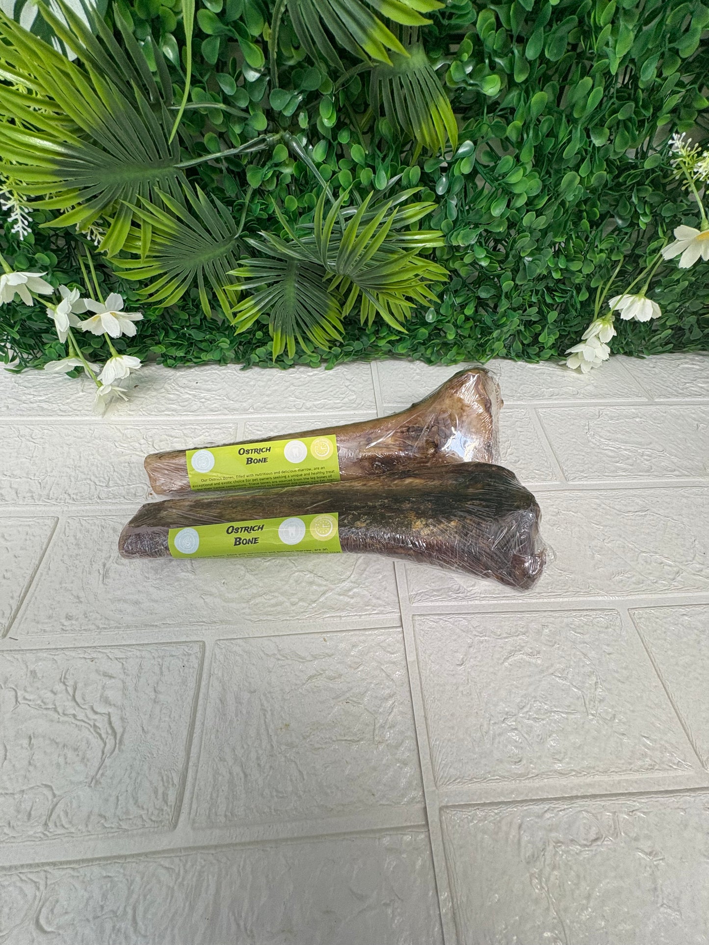 Ostrich bone