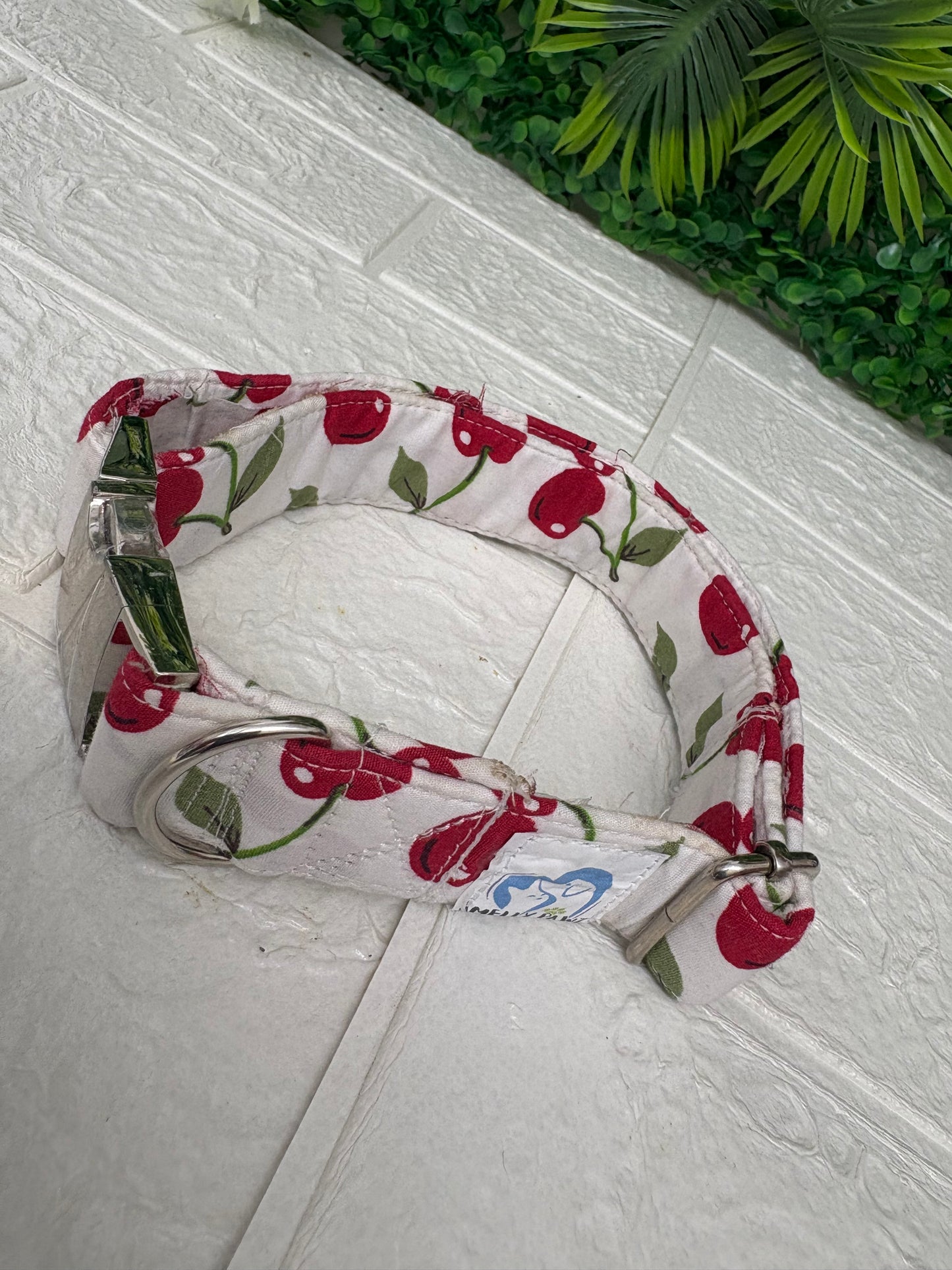 Cherries on white