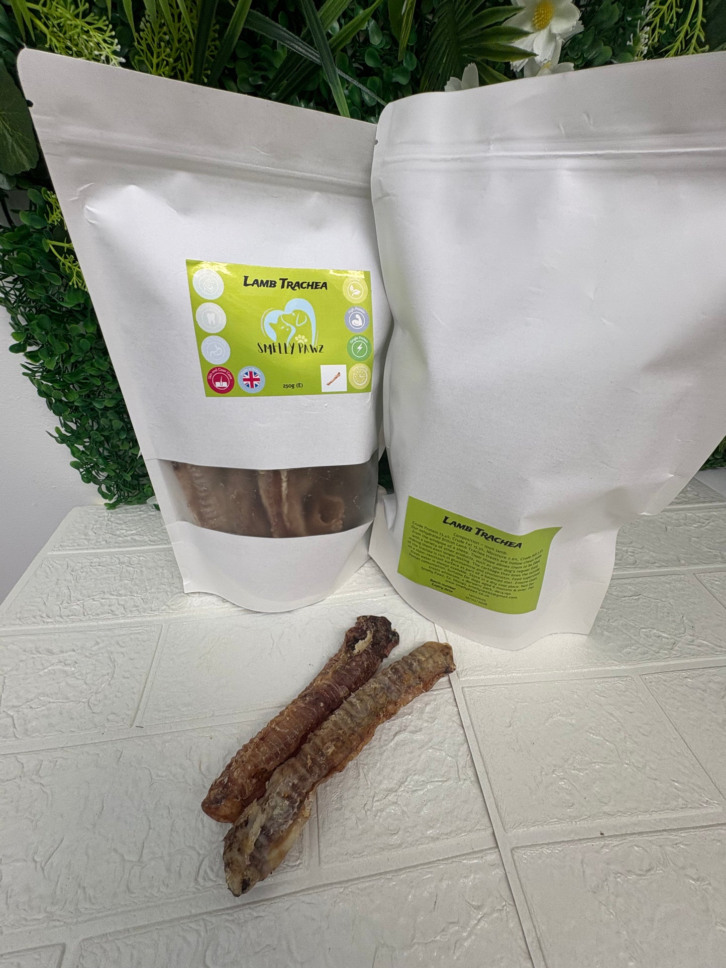 Lamb trachea