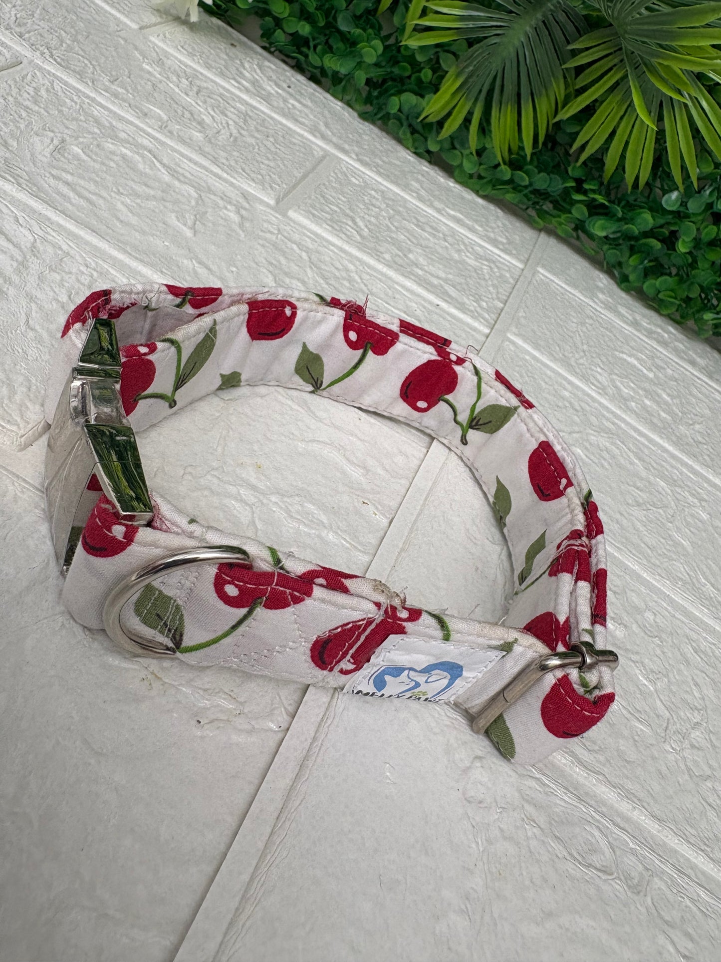 Cherries on white
