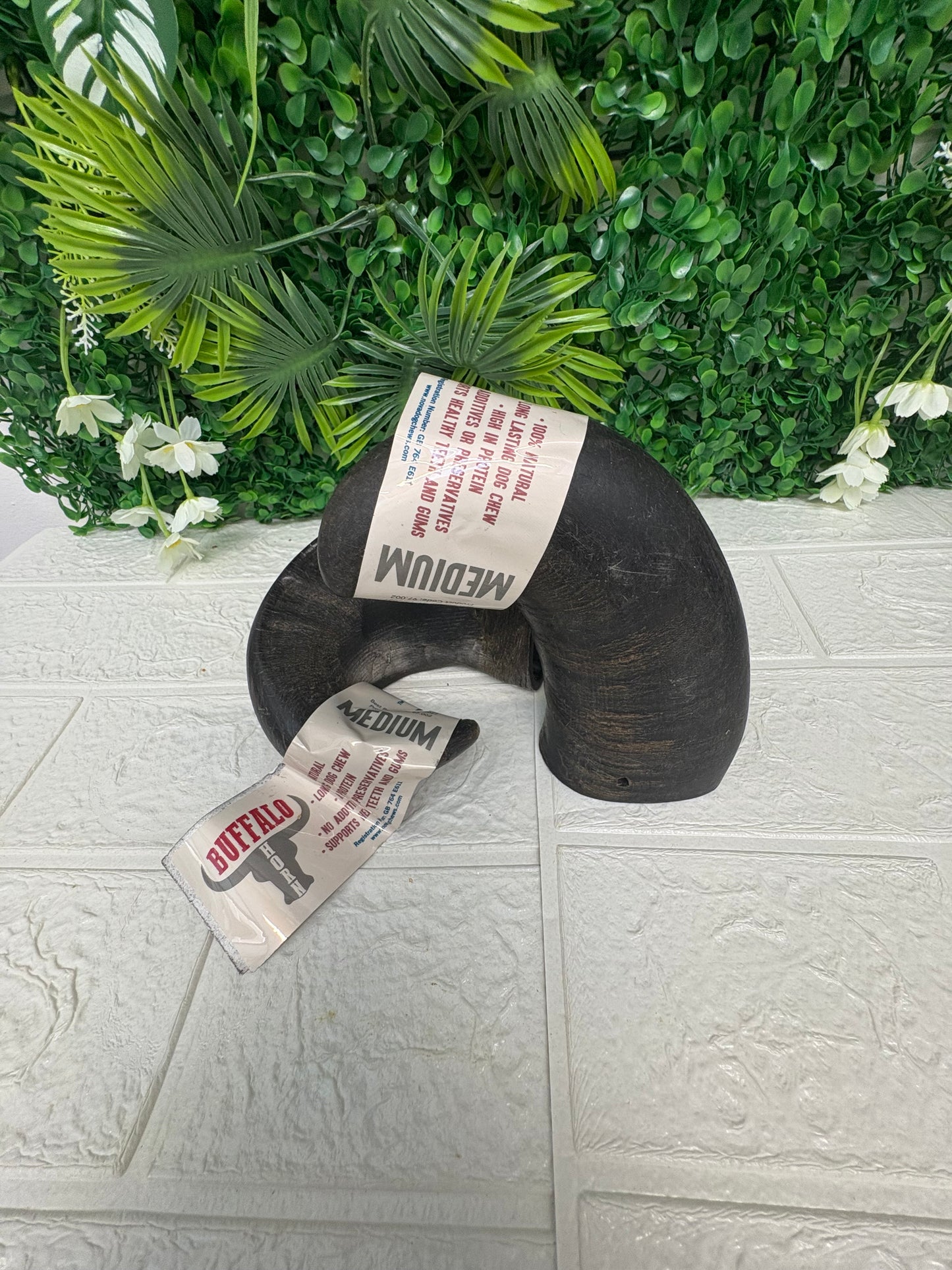 Medium buffalo horn