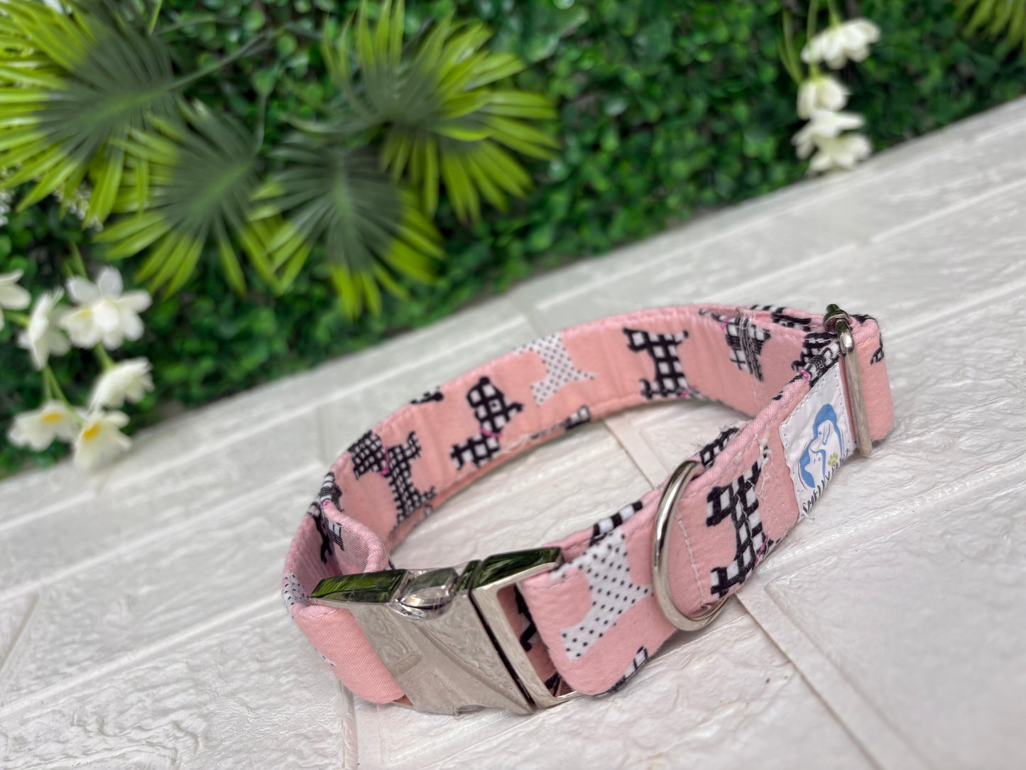Pink westie
