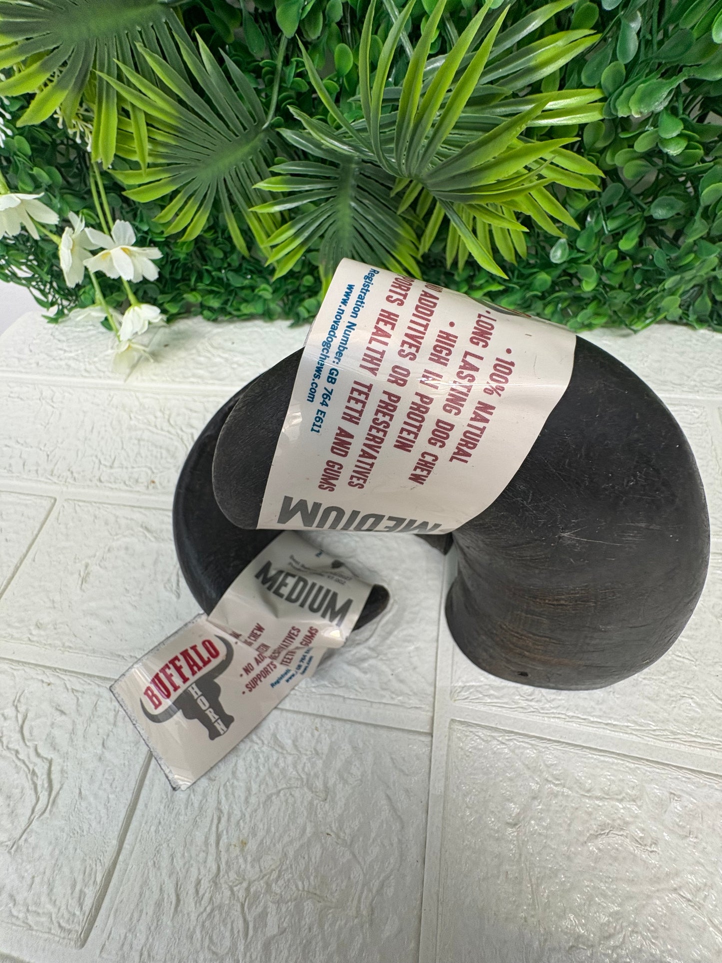 Medium buffalo horn