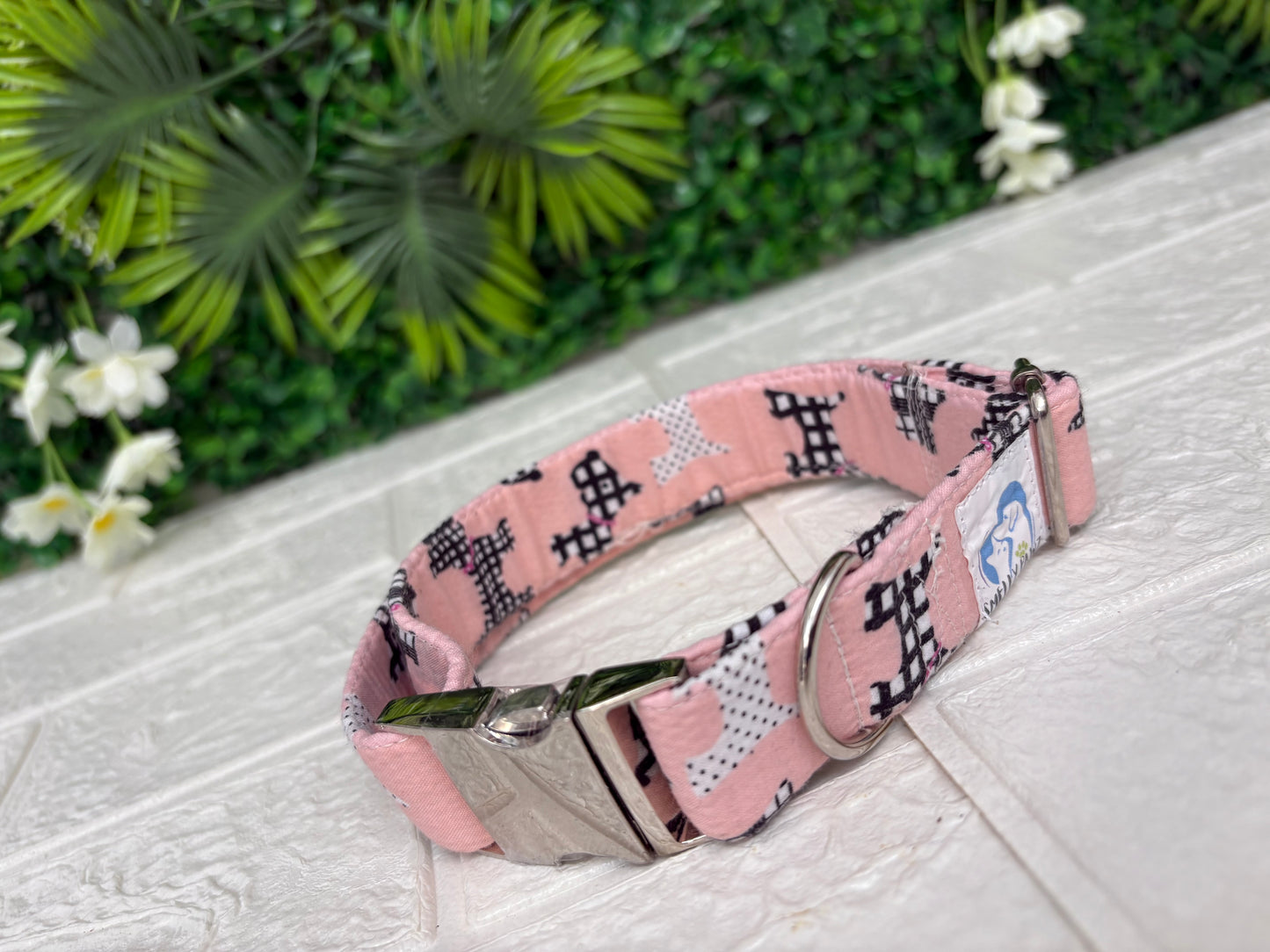 Pink westie