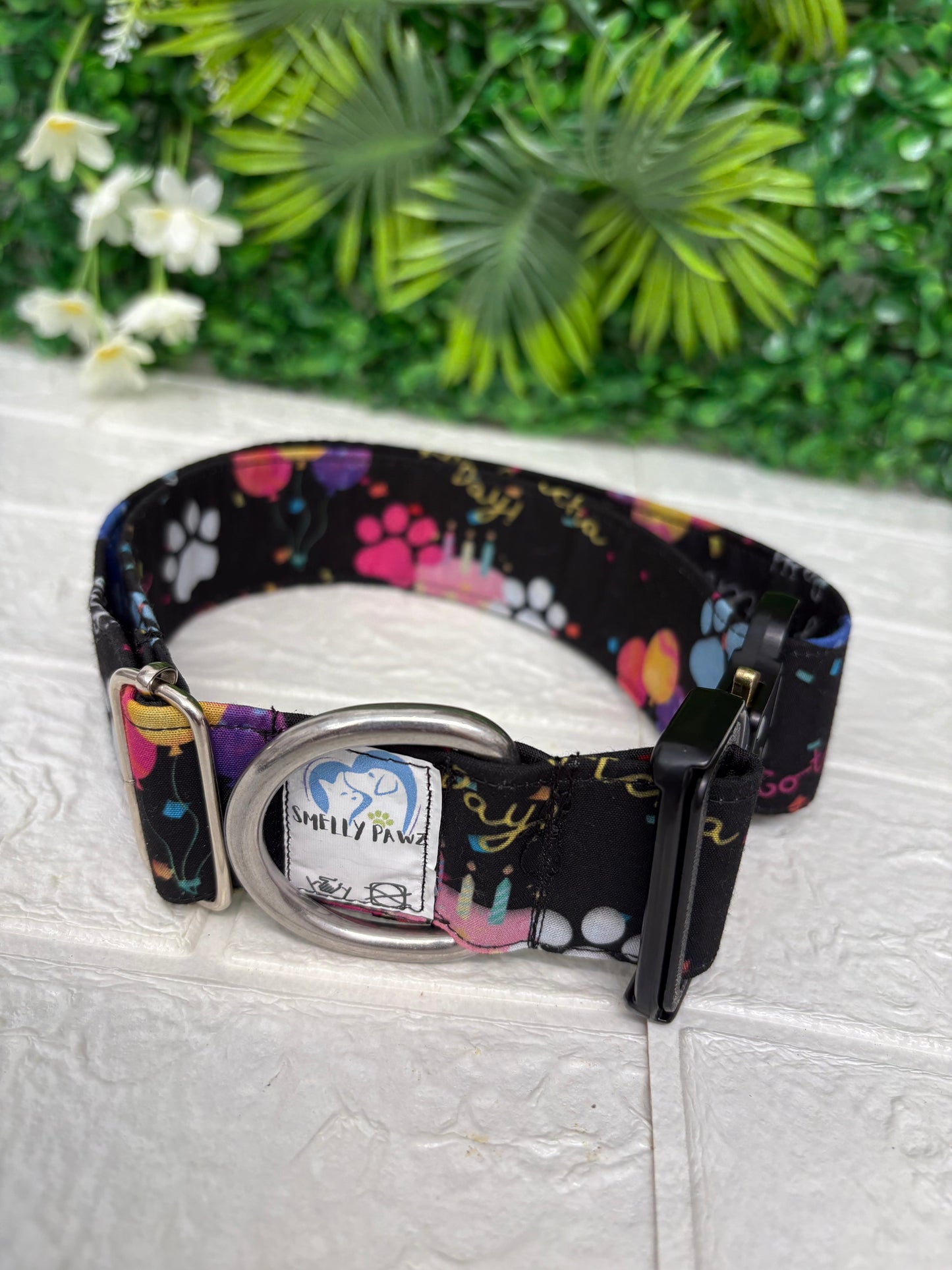 Gotcha day collar