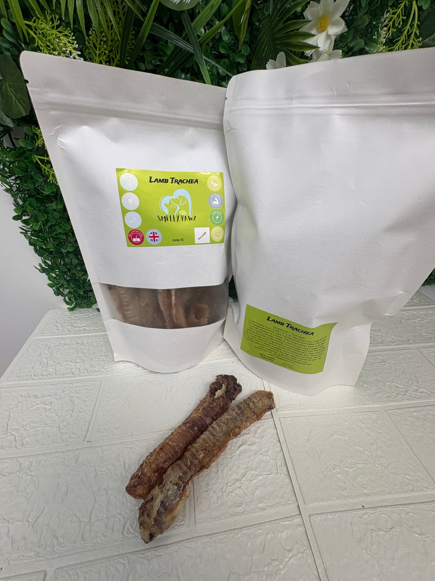 Lamb trachea