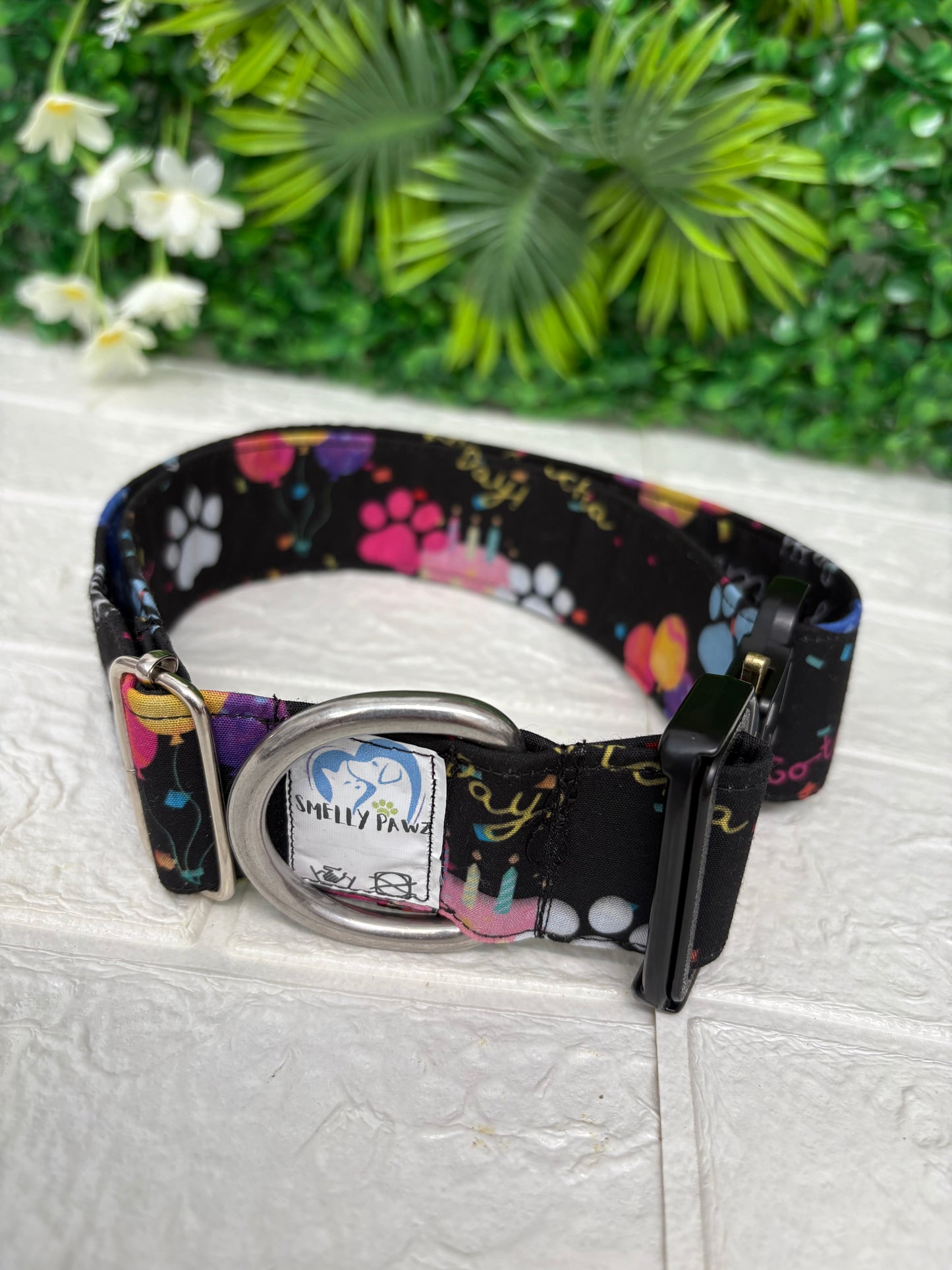 Gotcha day collar