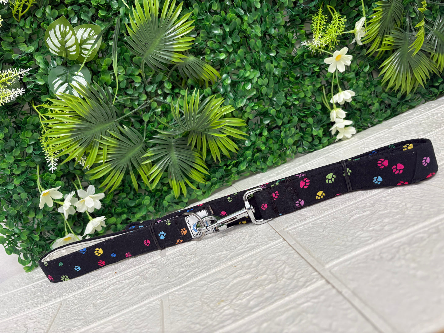 Black multicolour paws