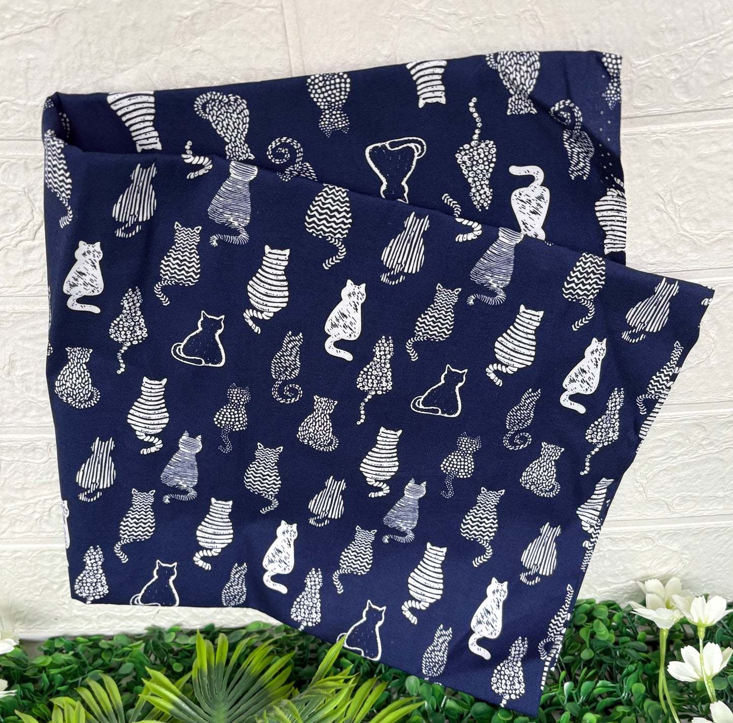 Blue and white cats