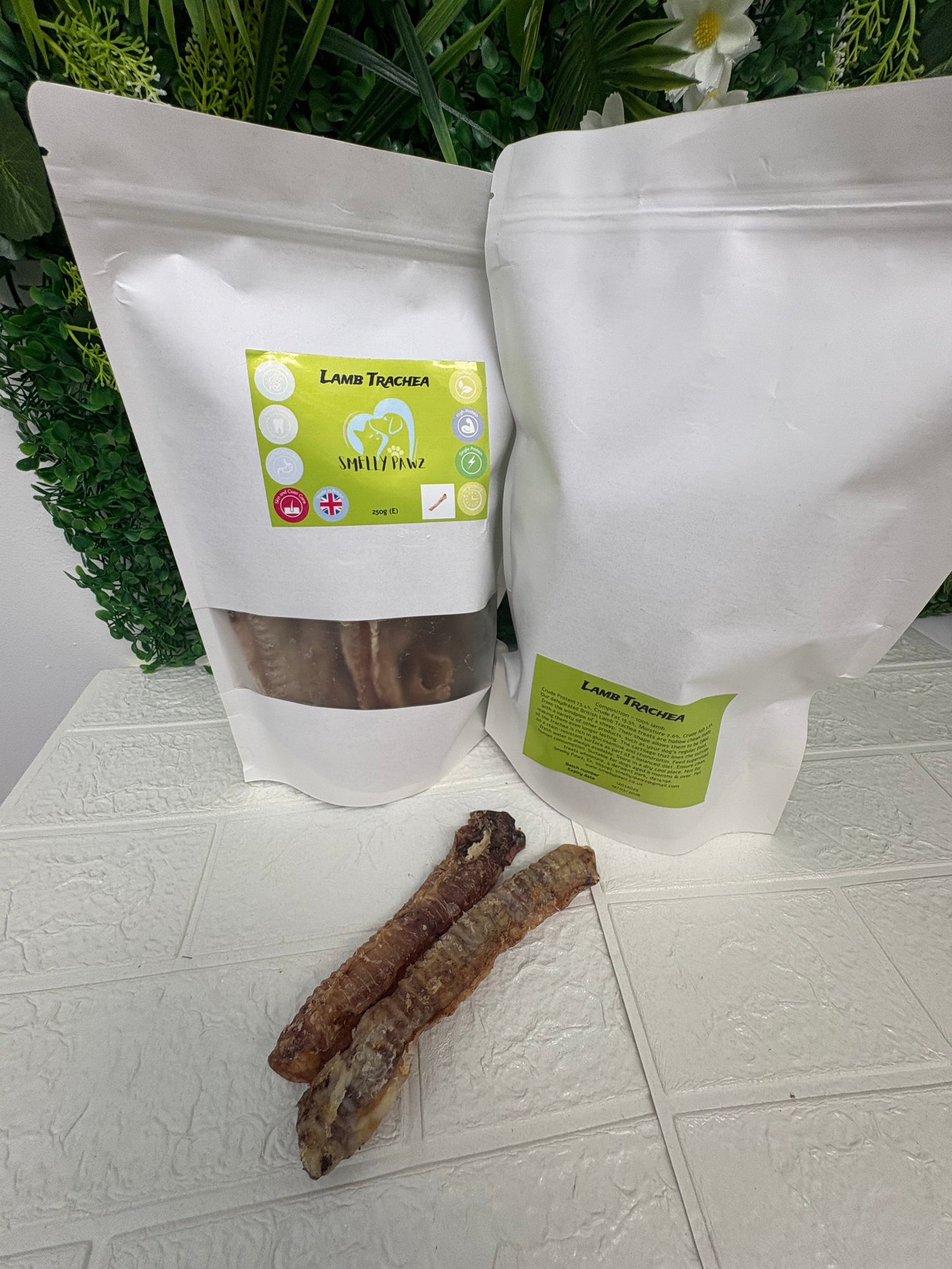 Lamb trachea