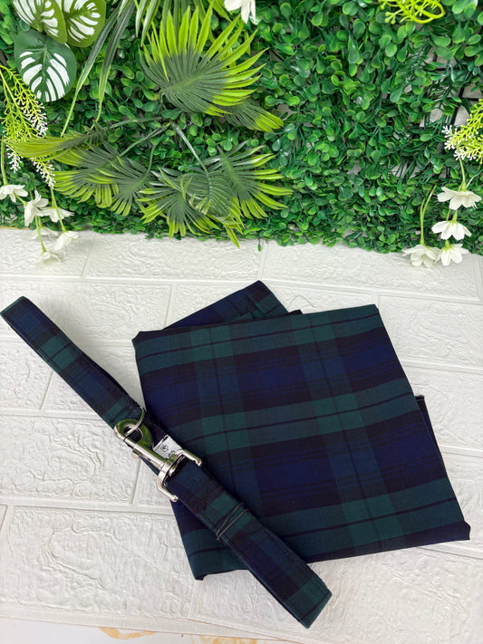 Blue & green tartan