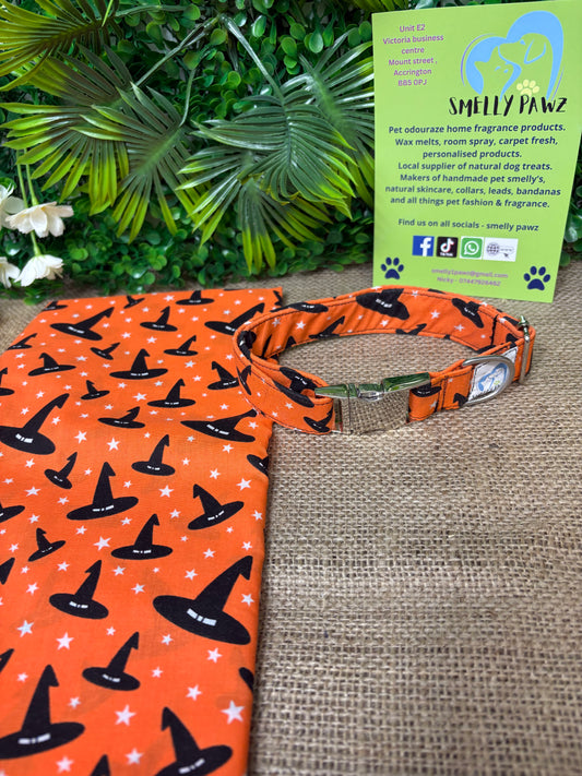 Halloween orange witches hat