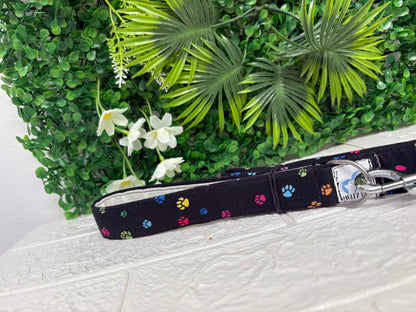 Black multicolour paws