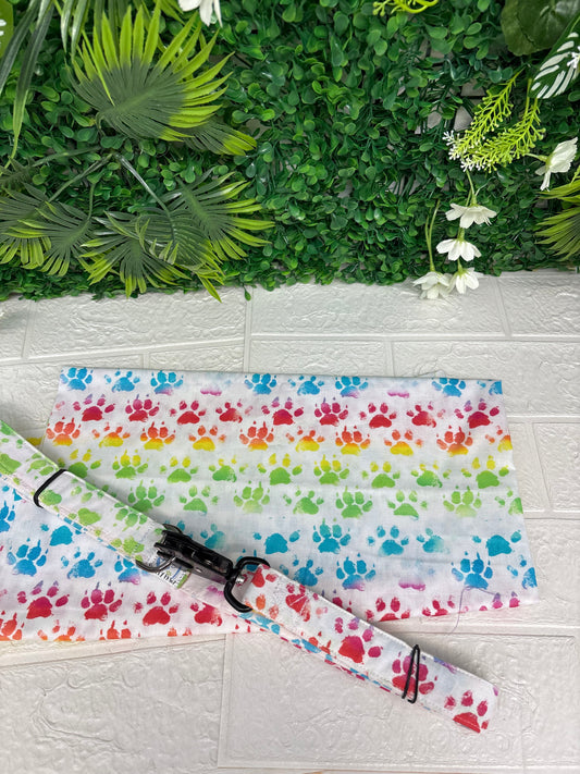 Rainbow paw prints