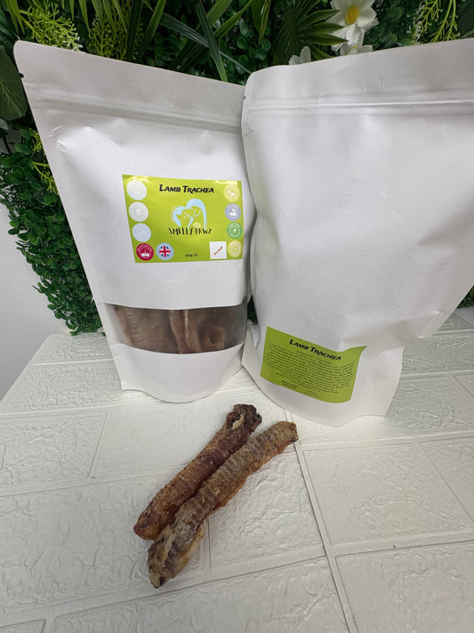Lamb trachea