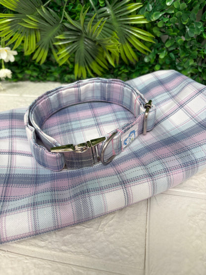Blue & purple tartan